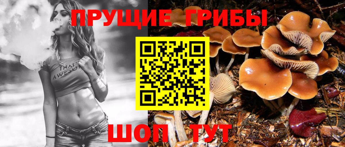 Волгодонск  Псилоцибиновые грибы ЛСД  Галлюциногенные грибы мицелий  Вход с VPN 