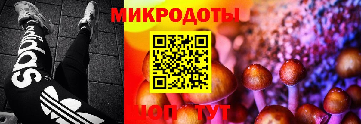 Галлюциногенные грибы MAGIC MUSHROOMS Волгодонск
